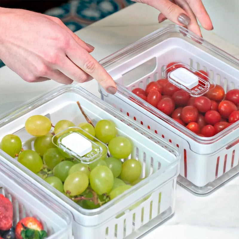 Organizador Acrílico com Drenagem