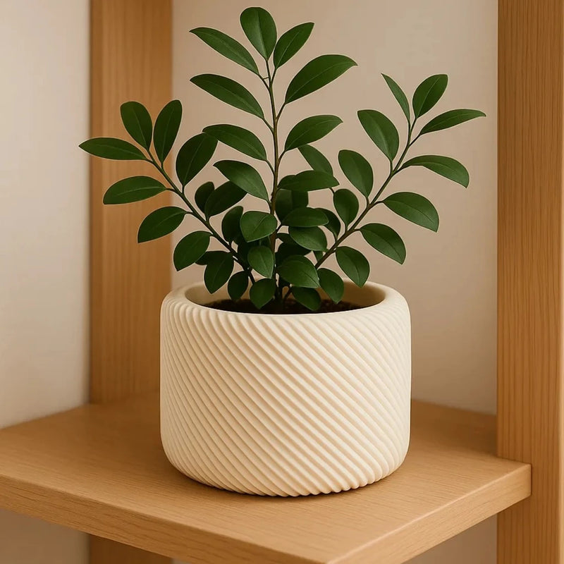 Vaso Diagonal Minimalista Moderno